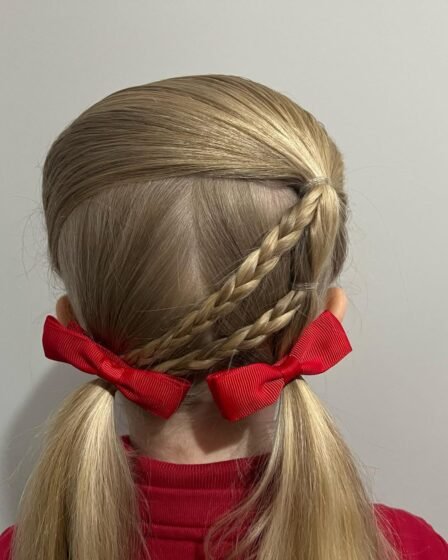Charming Braided Pigtails