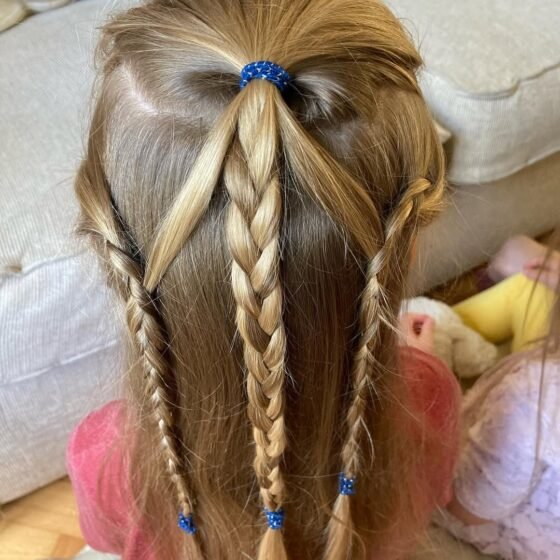 Scholar's Sectioned Strands